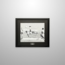 PELE AUTO (B&W BICYCLE KICK) 16X20 PHOTO