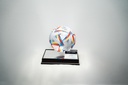 Lionel Andres Messi (Messi) - Sign Jersey Soccer Ball-SCCR