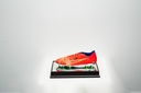 Erling Braut Haaland - Sign Shoes Soccer-0011
