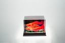 Erling Braut Haaland - Sign Shoes Soccer-0011