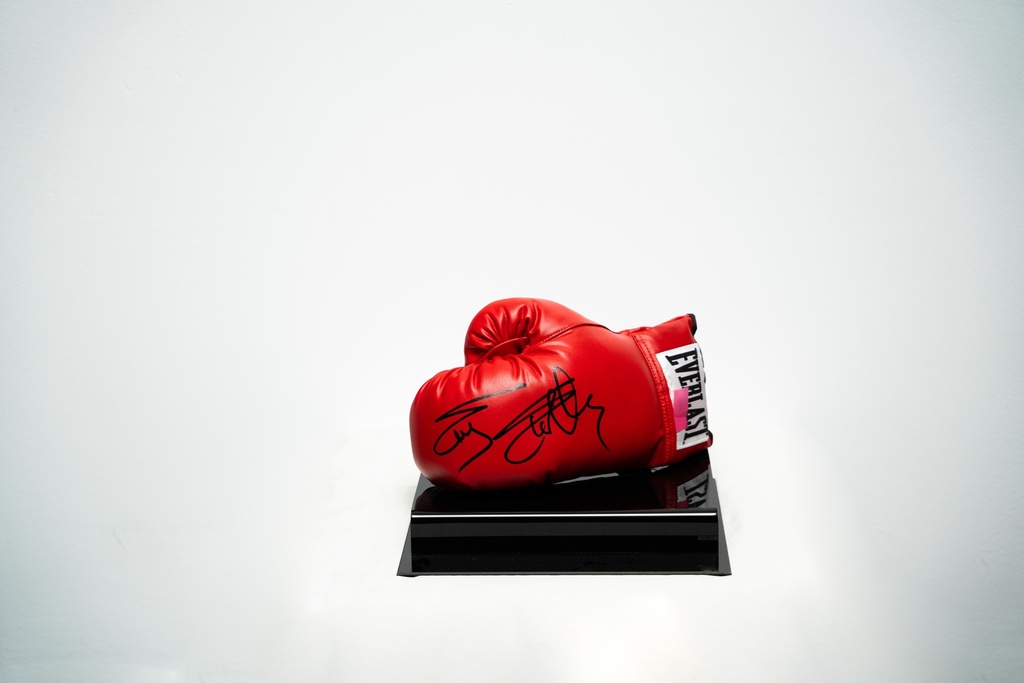 Sylvester Gardenzio Stallone - Sign Boxing Gloves
Boxing Gloves