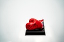 Sylvester Gardenzio Stallone - Sign Boxing Gloves
Boxing Gloves