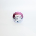 2022 Pokemon Poke Ball Tin (Spring Q2)