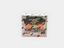 2024-25 Panini Turkish Airlines Euroleague Prizm Basketball Hobby