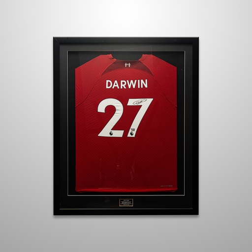 [JRSYNU0005] NUNEZ DARWIN AUTO (LIVERPOOL/RED AUTH/2022-23/NIKE) JERSEY